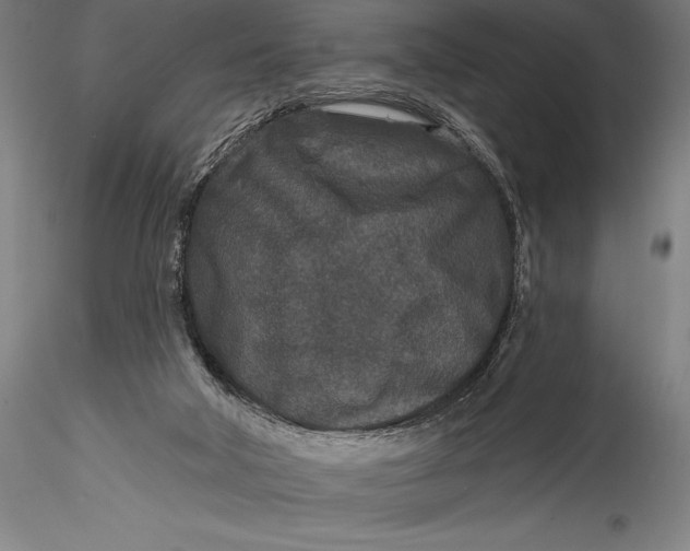 X0000115530018200911271357