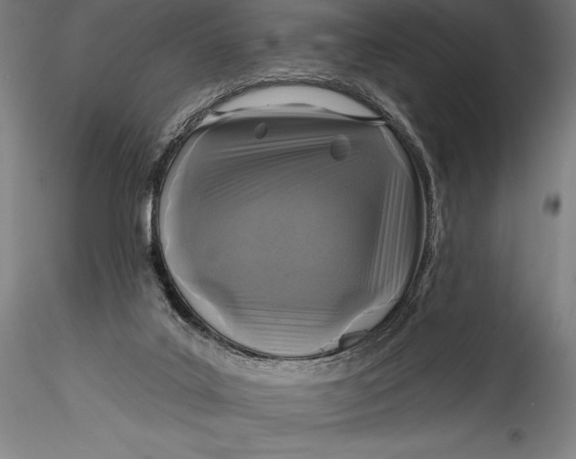 X0000115530019200911271357