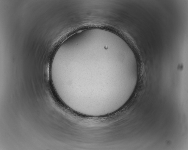 X0000115530020200911271357