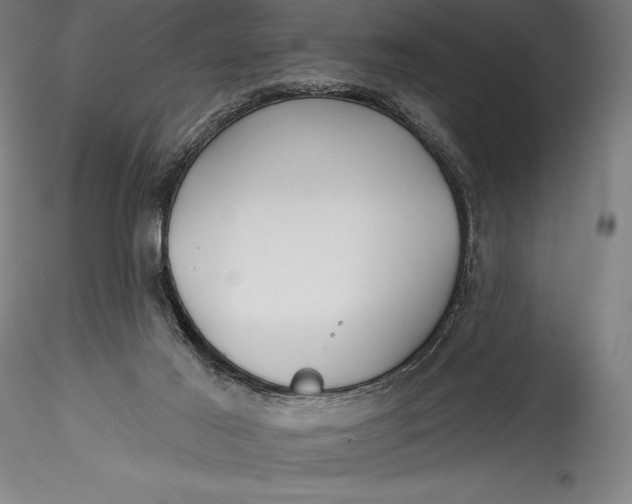 X0000115530021200911271357