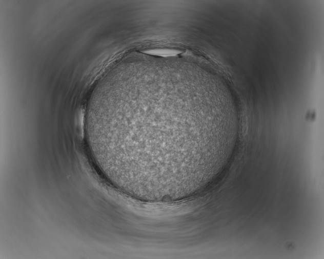 X0000115530022200911271357