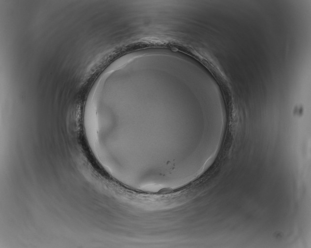 X0000115530023200911271357