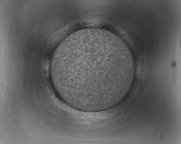 X0000115530026200911271357