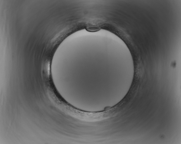 X0000115530027200911271357