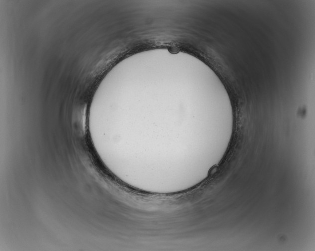 X0000115530028200911271357