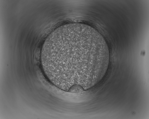 X0000115530030200911271357