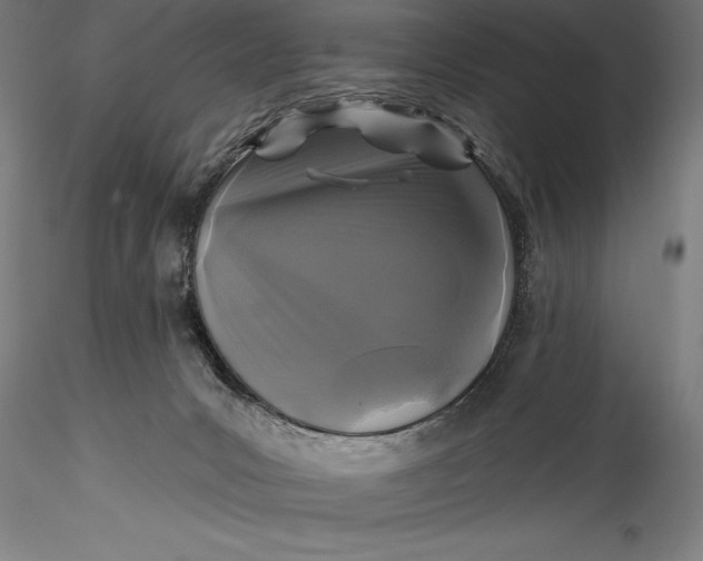 X0000115530031200911271357