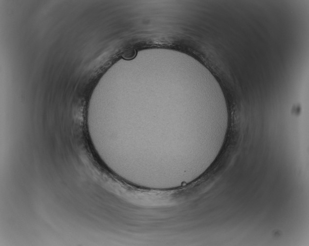 X0000115530032200911271357