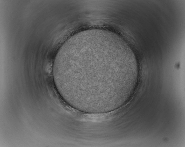 X0000115530033200911271357