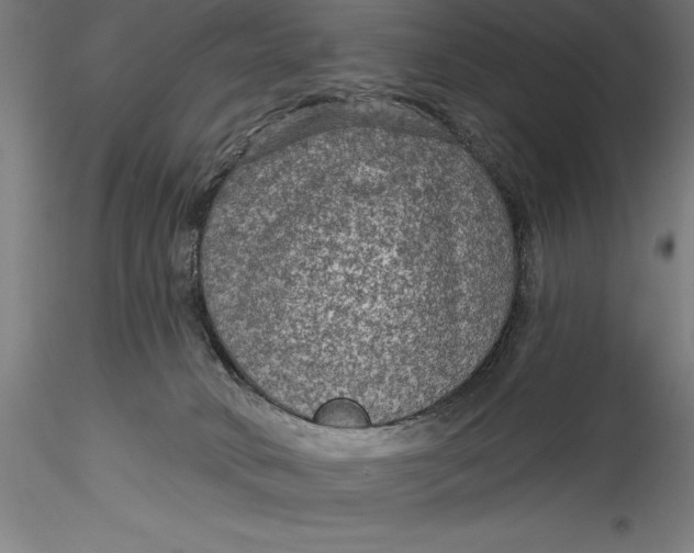 X0000115530034200911271357