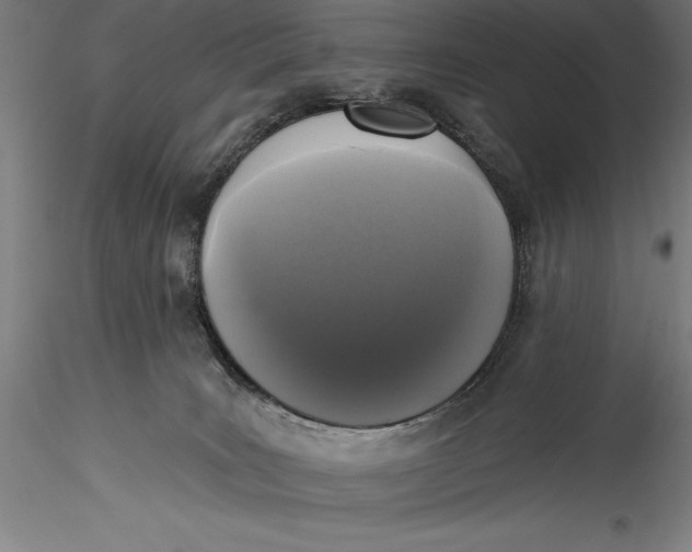 X0000115530035200911271357