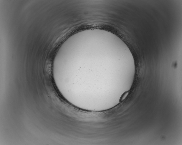 X0000115530036200911271357