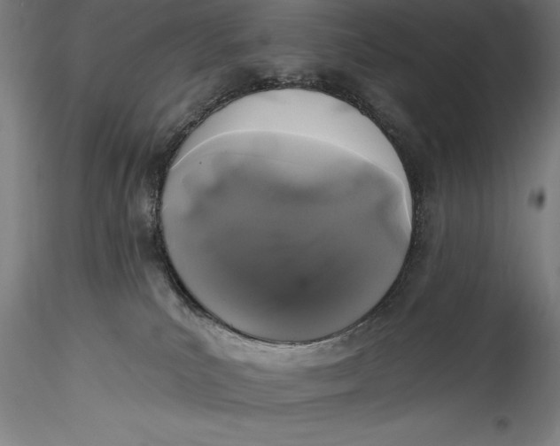 X0000115530039200911271357