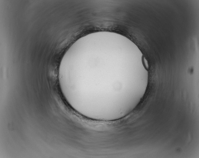 X0000115530040200911271357