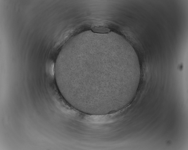 X0000115530041200911271357