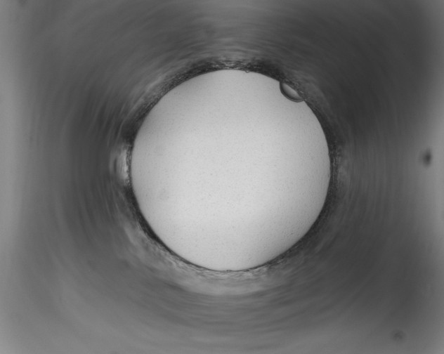 X0000115530042200911271357