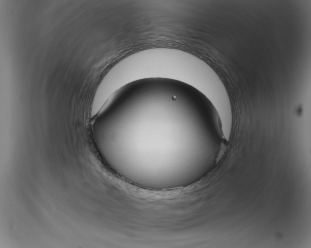 X0000115530043200911271357