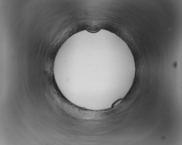 X0000115530044200911271357