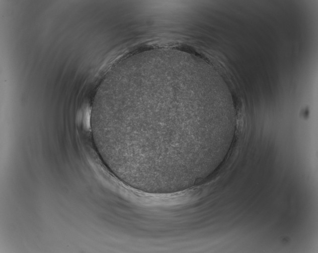 X0000115530046200911271357