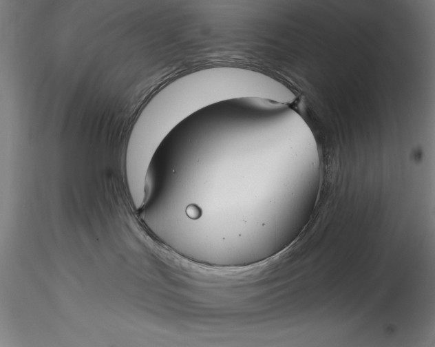 X0000115530047200911271357