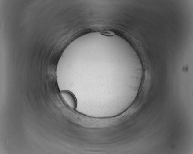 X0000115530048200911271357