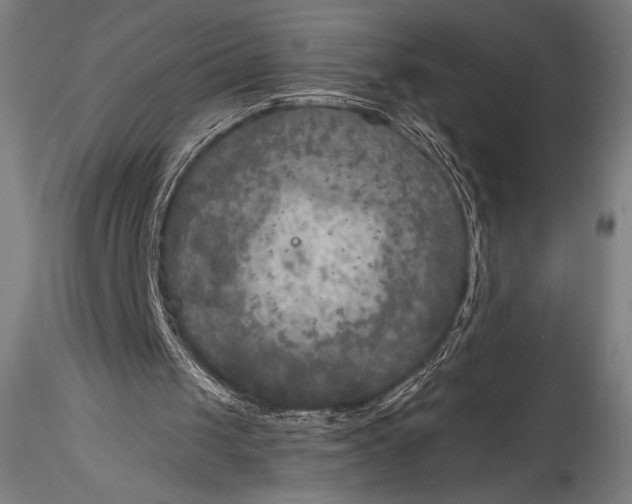 X0000115530049200911271356