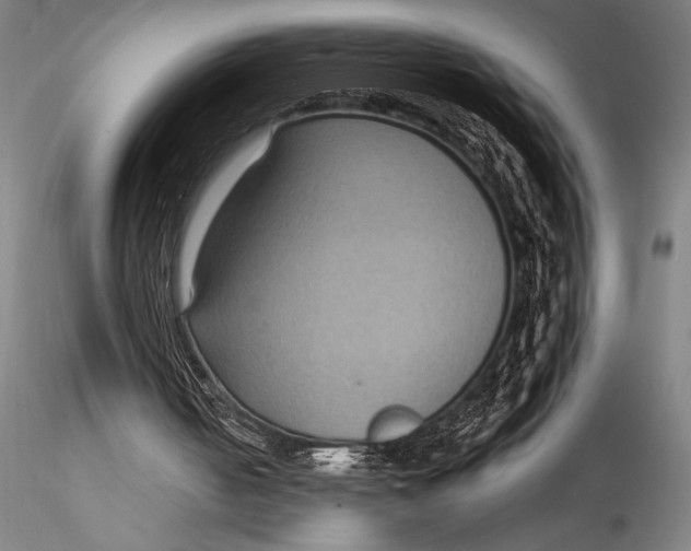 X0000115530050200911271356