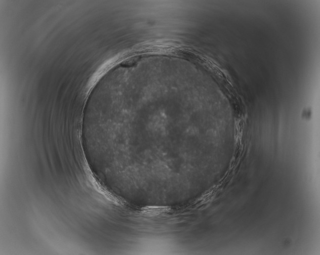 X0000115530051200911271356