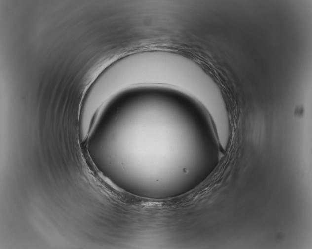 X0000115530052200911271356