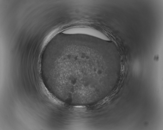 X0000115530053200911271356