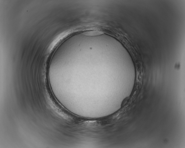 X0000115530054200911271356