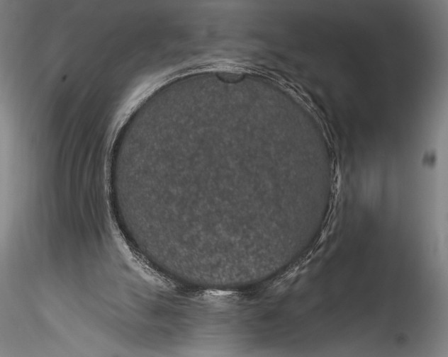 X0000115530055200911271356