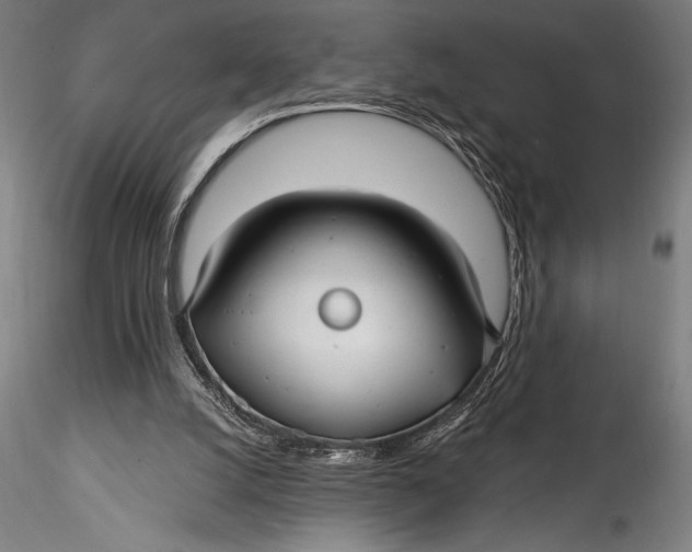 X0000115530056200911271356