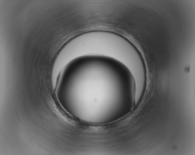 X0000115530057200911271356