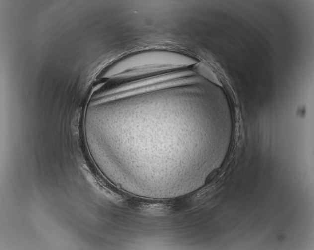 X0000115530058200911271356