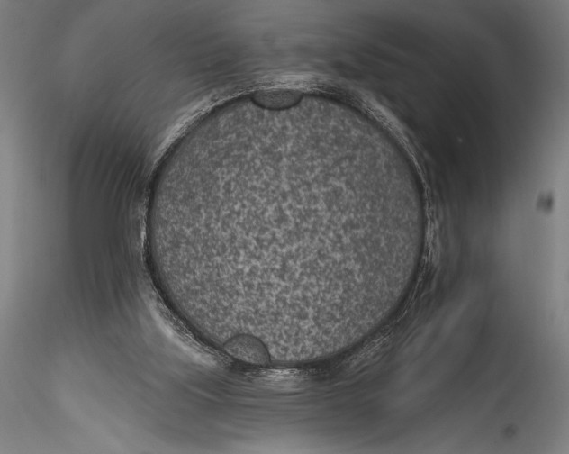 X0000115530059200911271356