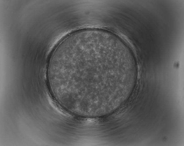 X0000115530060200911271356