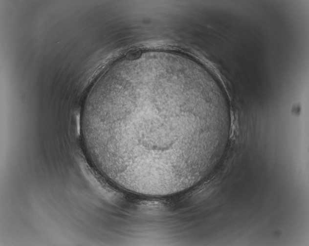 X0000115530061200911271356