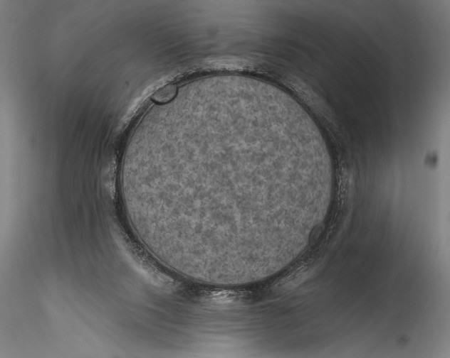 X0000115530064200911271356