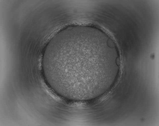 X0000115530065200911271356