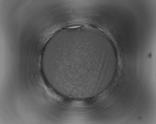 X0000115530066200911271356