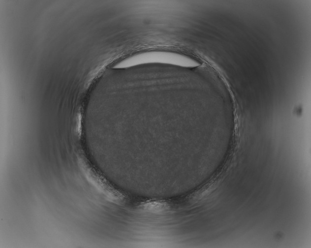 X0000115530067200911271356