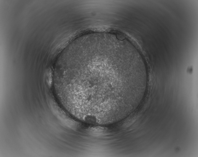 X0000115530069200911271356