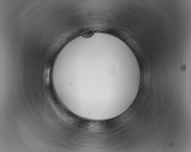 X0000115530070200911271356