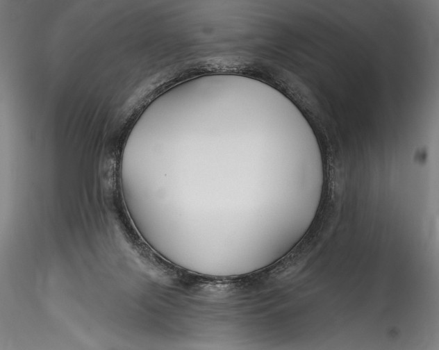 X0000115530071200911271356