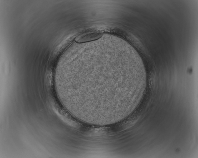 X0000115530072200911271356