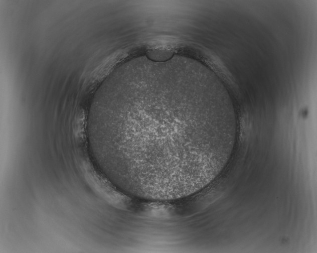 X0000115530073200911271356