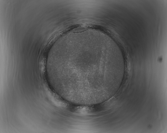 X0000115530074200911271356