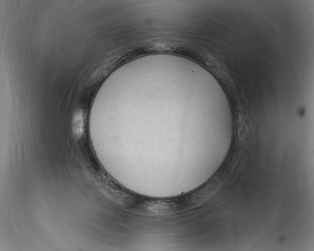 X0000115530075200911271356