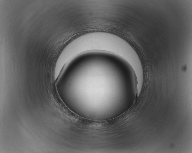 X0000115530076200911271356